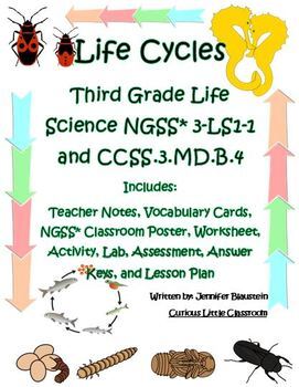 Preview of Third Grade Life Science and Math- Life Cycles