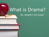 Third Grade Reading: Drama, Point of View, Character Trait