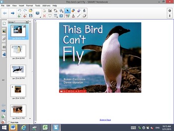 Preview of This Bird Can't Fly