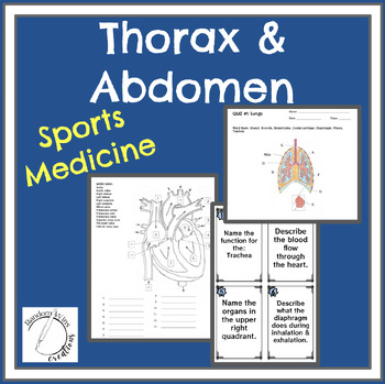 Preview of Thoracic and Abdominal Cavities for Sports Medicine