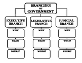 Three Branches of Government Graphic Organizer