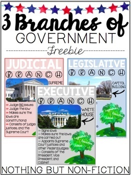 Preview of Three Branches of Government Posters |FREEBIE|