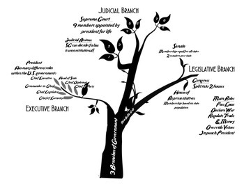 3 branches of government tree