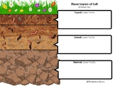 Three Layers of Soil Graphic Organizer