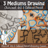 Three Mediums Drawing Lesson Visual Art- High School/Middl