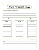 Essay writer service review