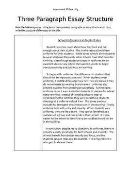 3 paragraph essay example