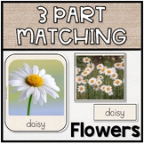 Three Part Matching  | Common Flowers