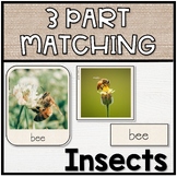 Three Part Matching | Insects, Bugs & Minibeasts