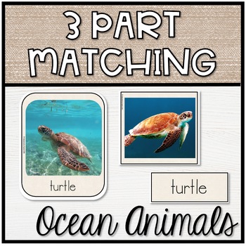 Preview of Three Part Matching | Ocean Animals