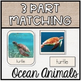 Three Part Matching | Ocean Animals