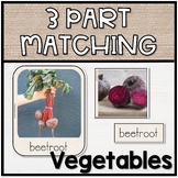 Three Part Matching | Vegetables