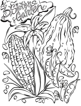 Preview of Three Sisters Garden Coloring Page