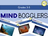Thunks / Mind Bogglers Grades 3-5: Critical thinking questions