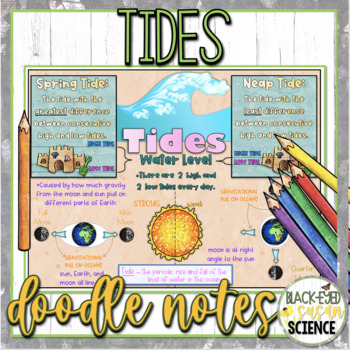 Preview of Tides Doodle Notes & Quiz