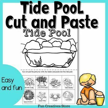 Preview of Tide Pool Cut and Paste Activity