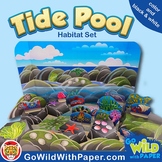 Tide Pool Habitat Craft Activity | Rock Pool Diorama Project