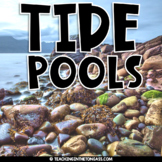 Tide Pool Ocean Animal Activities
