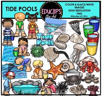 Preview of Tide Pools Clip Art Bundle {Educlips Clipart}
