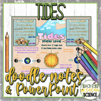 Preview of Tides Doodle Notes & Understanding Checkpoint + PowerPoint