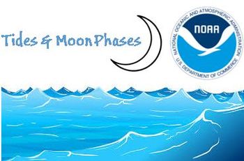 Preview of Tides and Moon Phase Graph Activity using NOAA