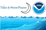 Tides and Moon Phase Graph Activity using NOAA