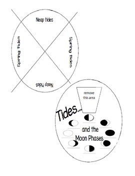 Tides and Moon Phases by Sciencerly | Teachers Pay Teachers