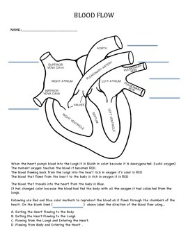 Preview of Tier 2/3 Intervention Activity  Body - Heart - Blood Flow of Circulatory System