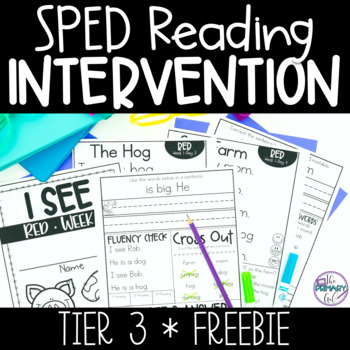 Preview of Tier 3 Reading Intervention Freebie