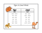 Tiger & Camel Rule Poster