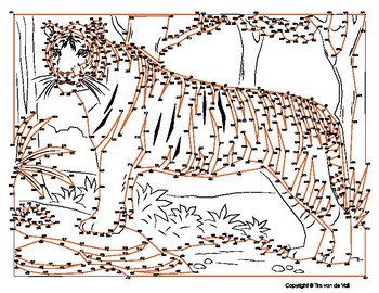 Tiger Extreme Dot To Dot Connect The Dots By Tim S Printables Tpt