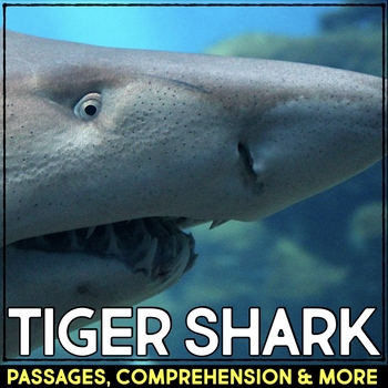 Preview of Tiger Shark Animal Research Nonfiction Reading Passage & Comprehension