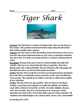 Tiger Shark Information