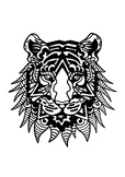 Tiger - Wild Life Colouring Page