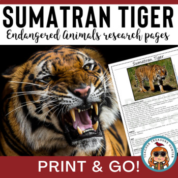 Preview of Tiger research Endangered Animal report | Sumatran Tiger information page