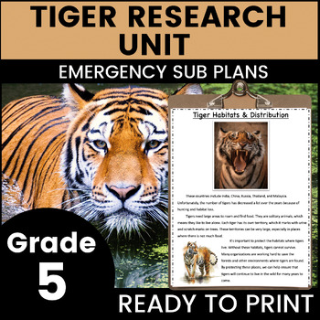 Preview of Tigers 5th Grade Emergency Sub Plans Math English Science Substitute Binder