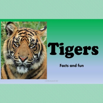 Preview of Tigers - Facts and Fun Activities