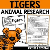 Tigers Research Reading Writing | Animal Research Report