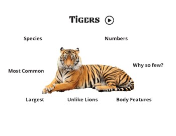 Preview of Tigers. Video Note taking, listening discovery lesson.