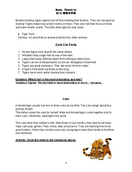 Tigers Worksheet by Edukaitlyn | TPT