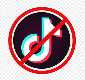 Preview of TikTok Ban Reading and Discussion Guide