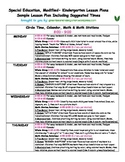 Kindergarten Special Ed FULL WEEK of Lesson Plans or Sub P