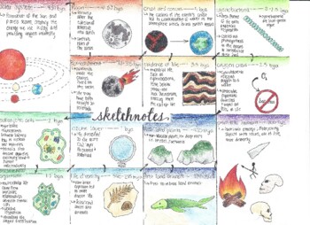 Preview of Timeline - Life on Earth Sketch Note/ Doodle Note