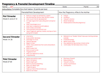 fetal development timeline