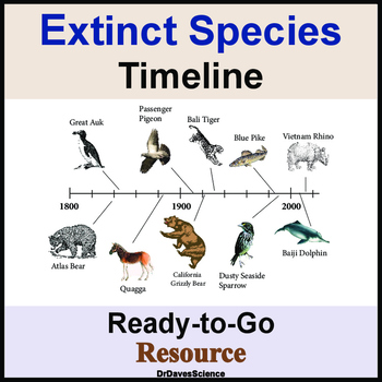 Animals Timelines Teaching Resources | TPT