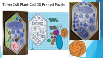 Preview of TinkerCAD Plant Cell 3D Printed