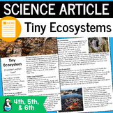 Tiny Ecosystems Science Article | 4th Grade 5th Grade Ecos