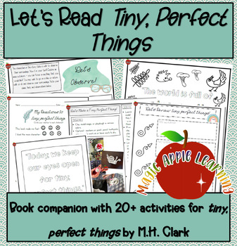 Preview of Tiny Perfect Things Book Companion and Learning Activities