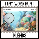 Tiny Word Hunt I SPY Blends  | Decodable 