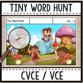 Tiny Word Hunt I SPY CVCe  | Decodable